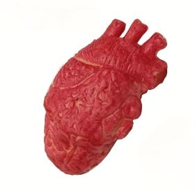 Halloween Decor, Halloween Props, Realistic Trick Toys, Horror Props, Heart-breaking Props, Simulated Heart