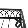 Black Metal 2 Tier Shelves Plant Stand