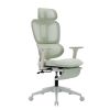 Multi-functional Ergonomic Mesh Office Chair with Adjustable Armrest,Footrest,Lumbar Support, 360¬∞  Silent Wheels,Headrest for Home & Office