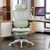 Multi-functional Ergonomic Mesh Office Chair with Adjustable Armrest,Footrest,Lumbar Support, 360¬∞  Silent Wheels,Headrest for Home & Office